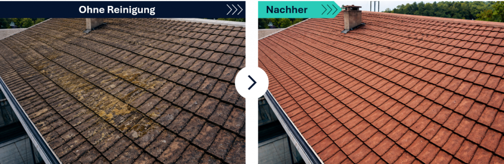 Dachreinigung