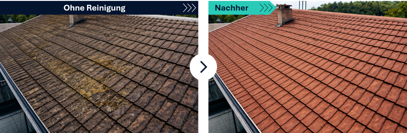 Dachreinigung