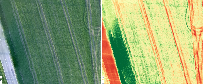 Drohnenlandwirtschaft | NDVI & Vitalitätsanalyse
